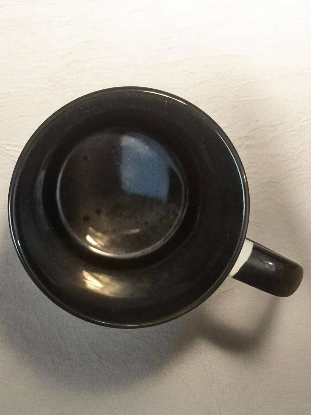 Crazy Cat Lady Ceramic Mug - Black Handle